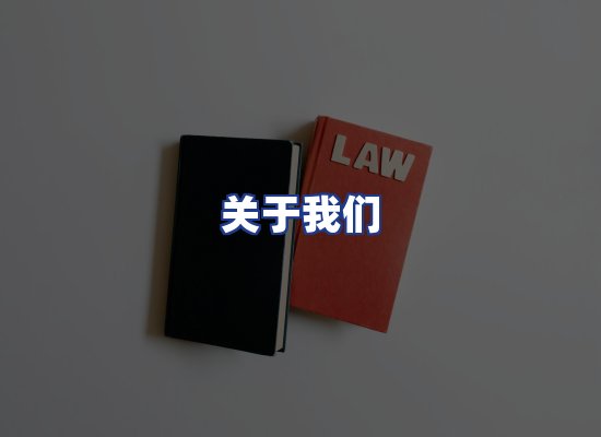 专业团队